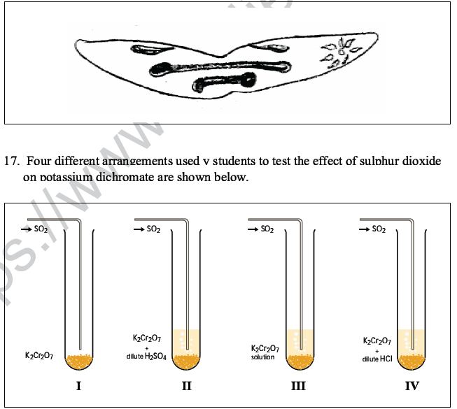 CBSE Class 10 Science MCQs Set 6, Multiple Choice Questions